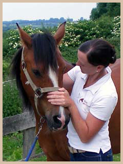 `Hand ans Pferd` Pferdeosteopathie - Test Seitenneigung der oberen Kopfgelenke