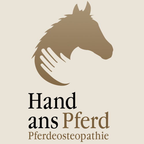 weiter zu Pferdeosteiopathie Hand ans Pferd